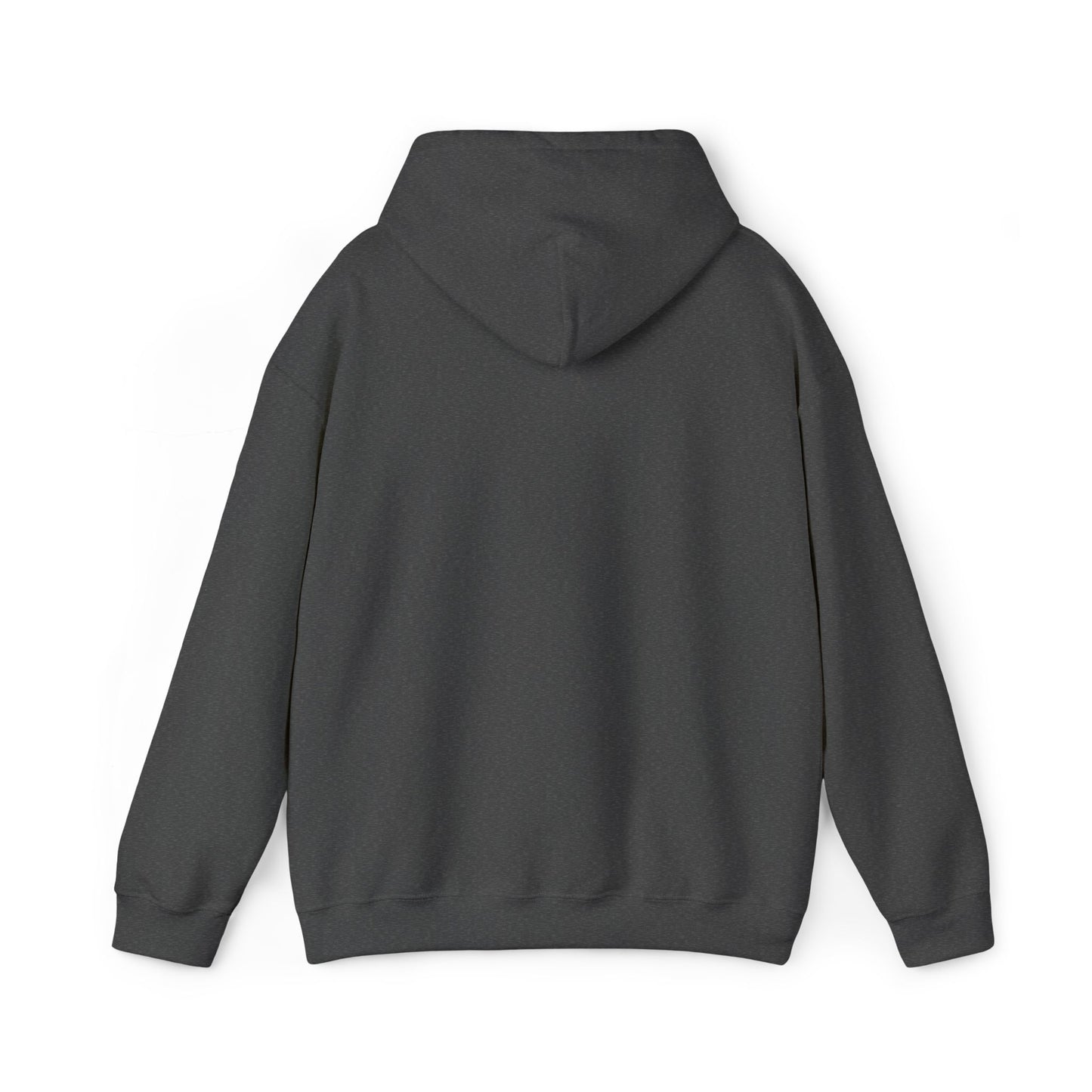 Hoodie — “Be Rich in Your Mind, Rich in Reality” Inspirational Pullover