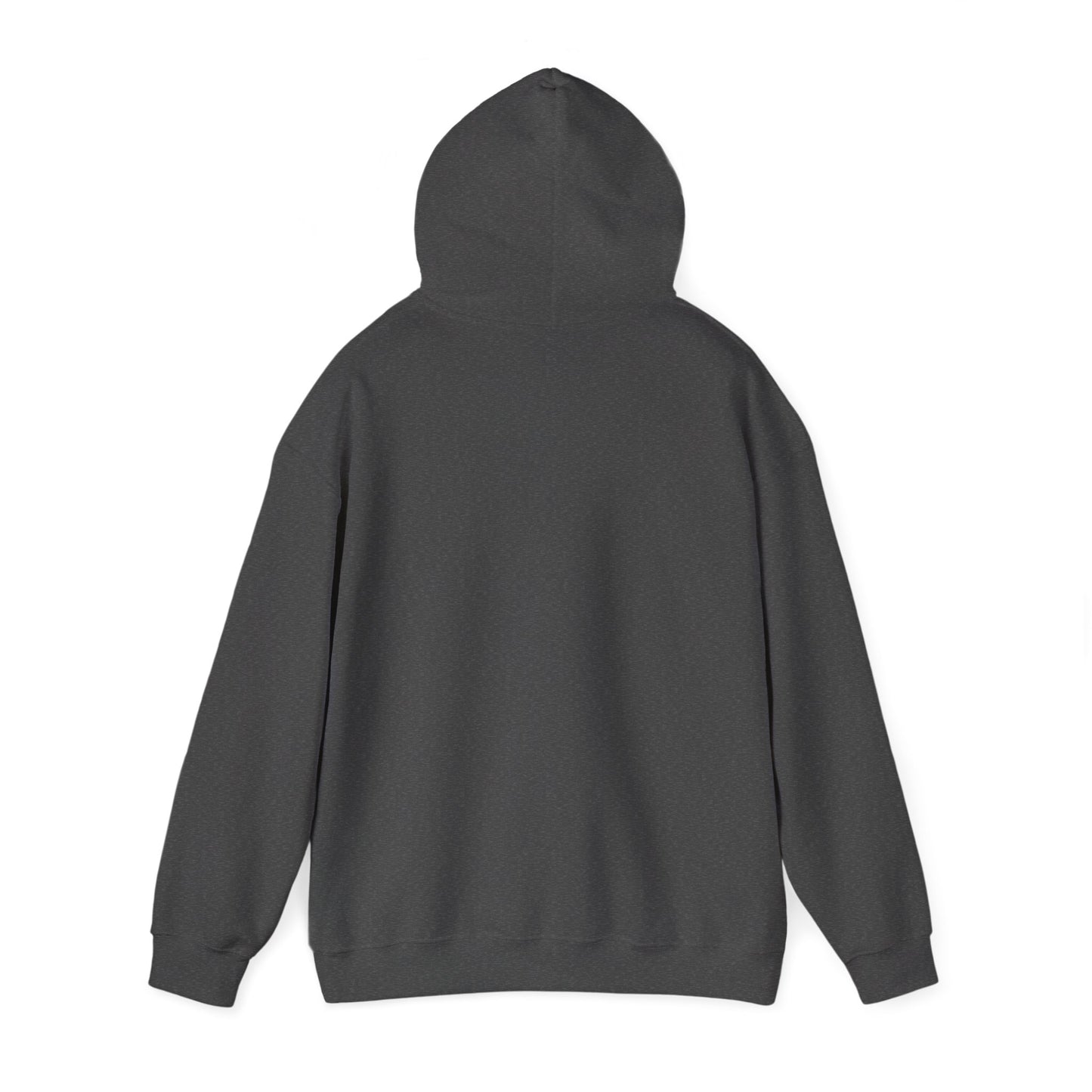Hoodie — “Be Rich in Your Mind, Rich in Reality” Inspirational Pullover